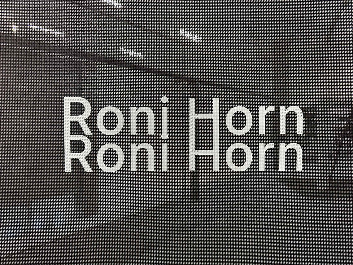 Roni Horn,迷雾般的她,德国室内设计dinzd.com