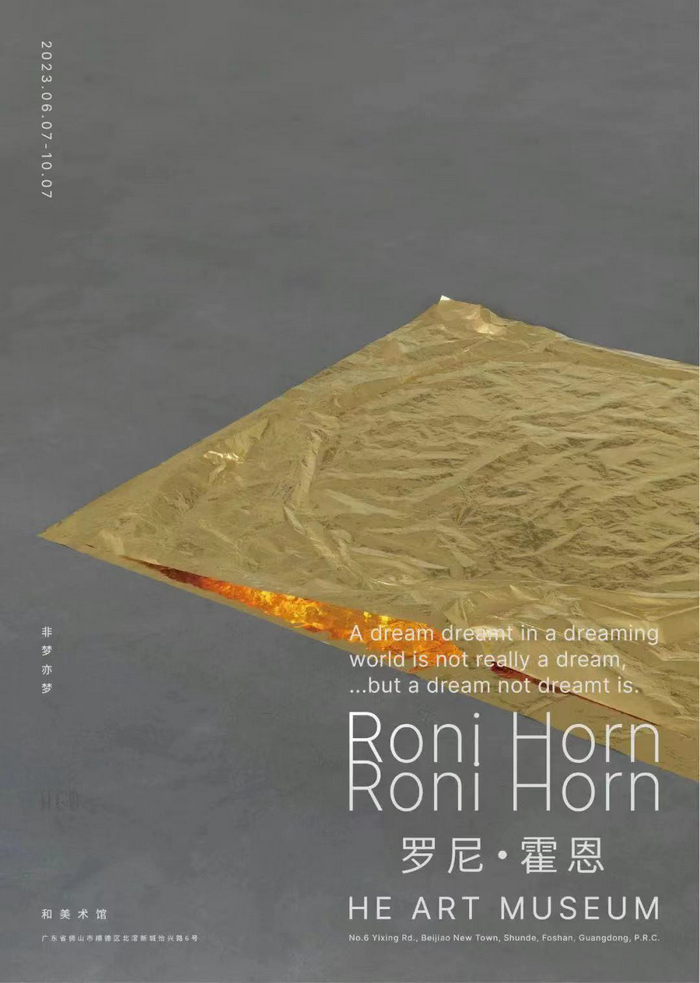 Roni Horn,迷雾般的她,德国室内设计dinzd.com