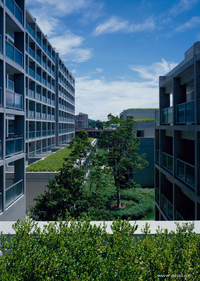 Tadao Ando安藤忠雄,六甲集合住宅Rokoo Housing Phrase,德国室内