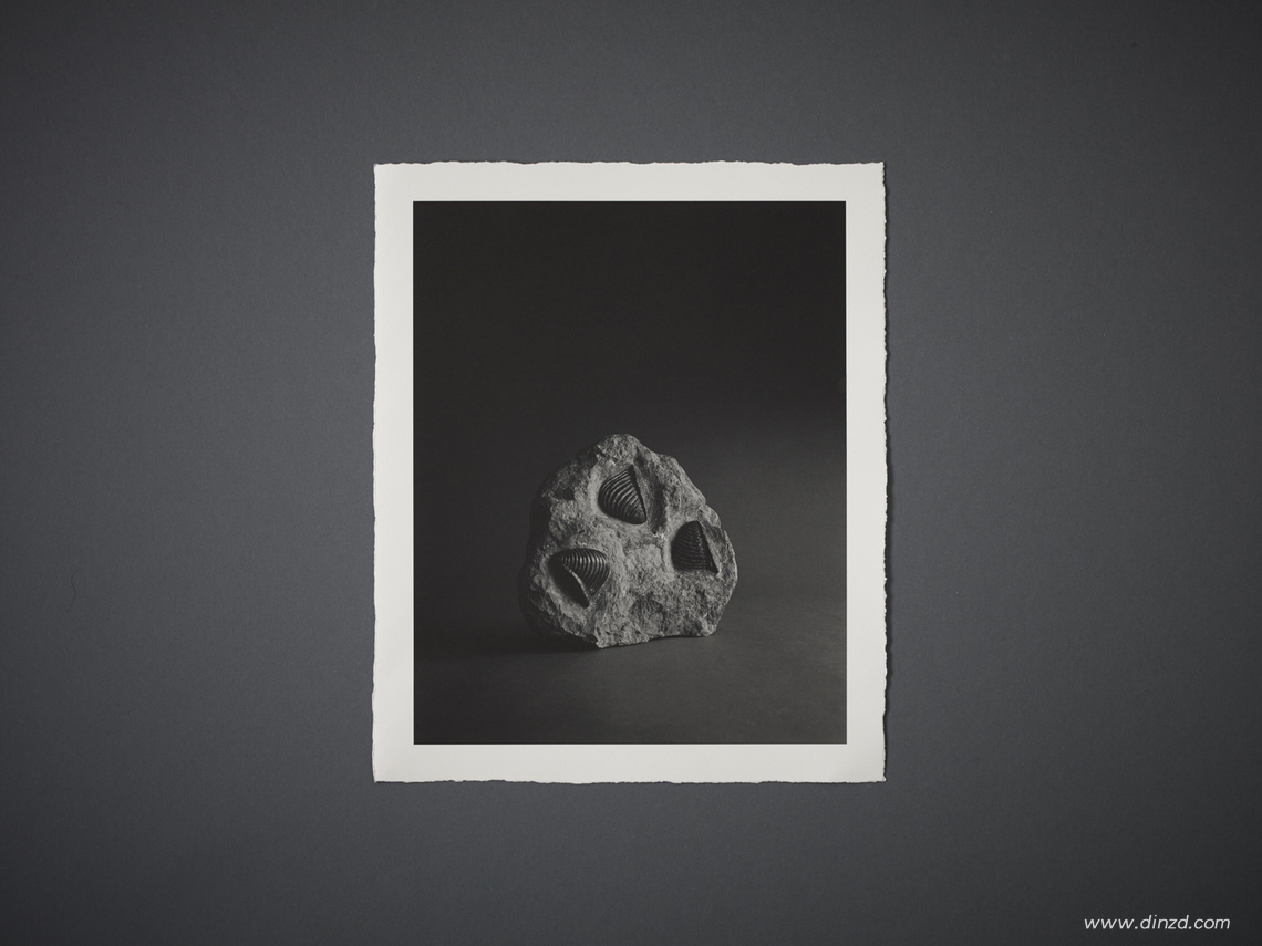 杉本博司　Hiroshi Sugimoto Origins of Art The Origins of Love (ジオラマ)The Origins of Love |杉本博司